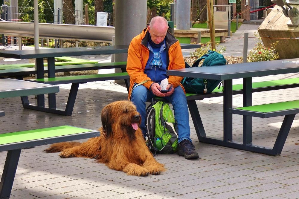 Photograph by backareva irina