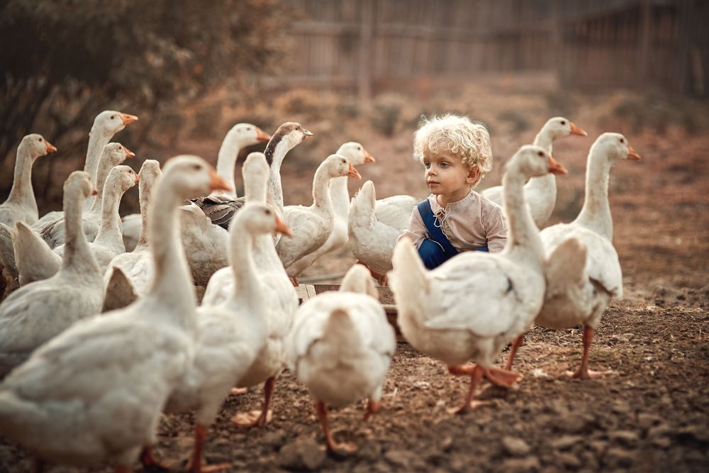 Photograph by Ольга Краснова