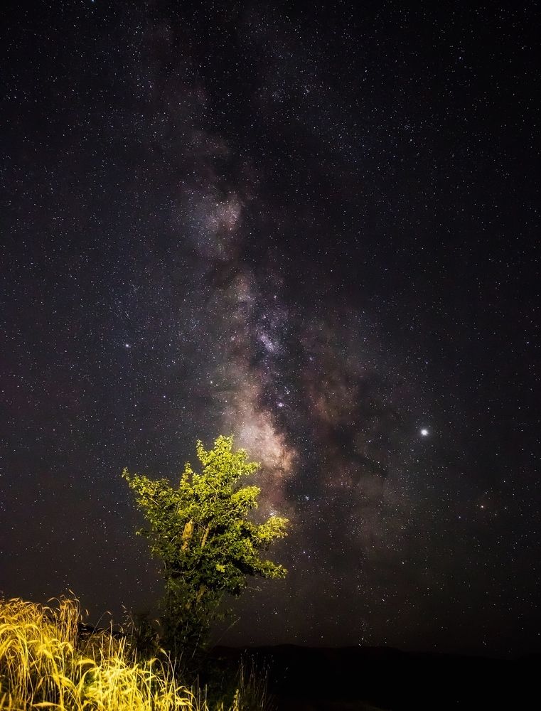 Фотография автора Hamidreza Saedi