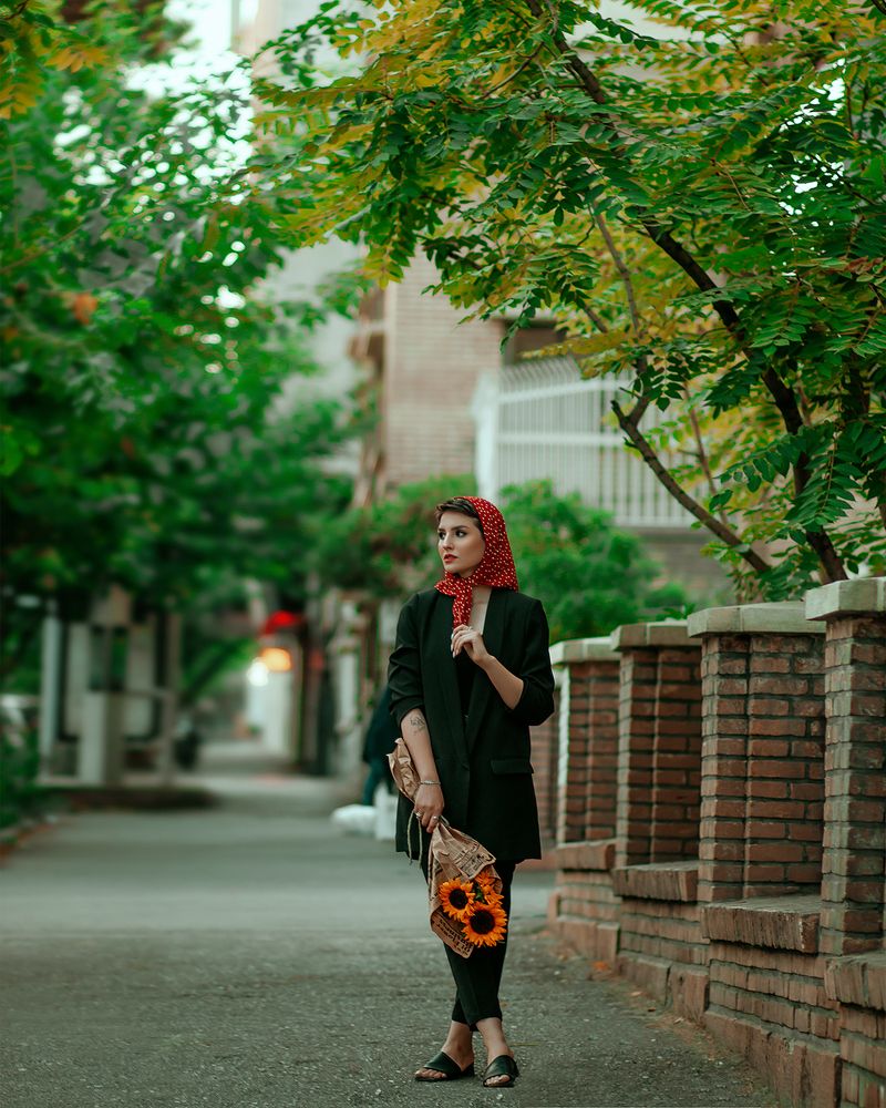 Фотография автора morteza solgi