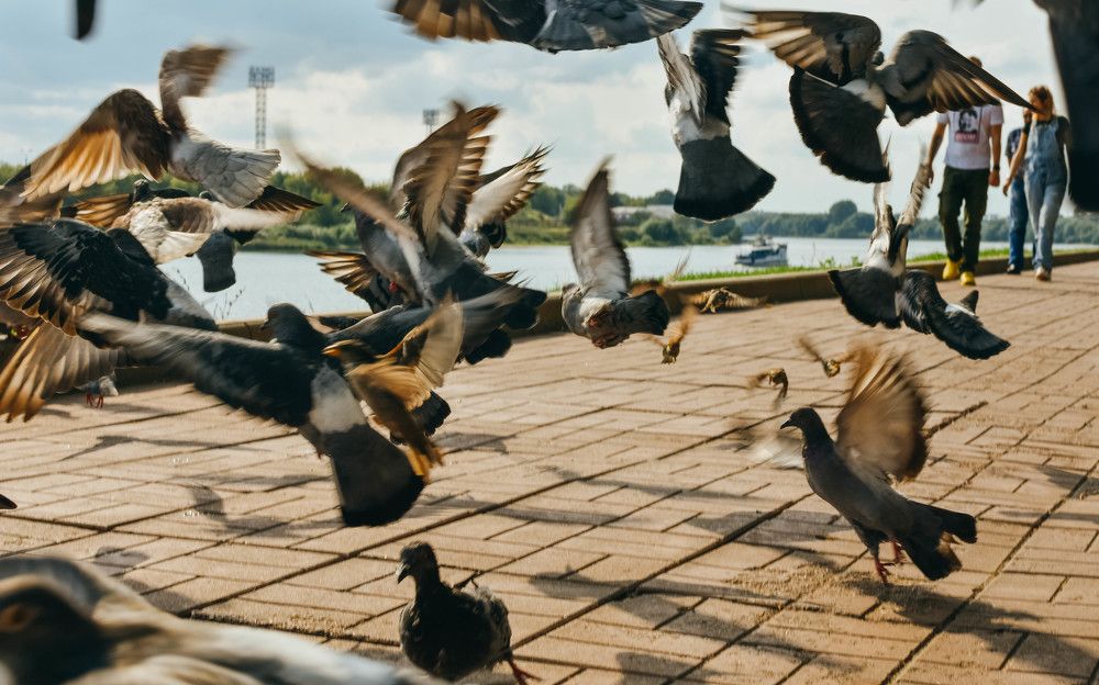 Фотография автора Marina