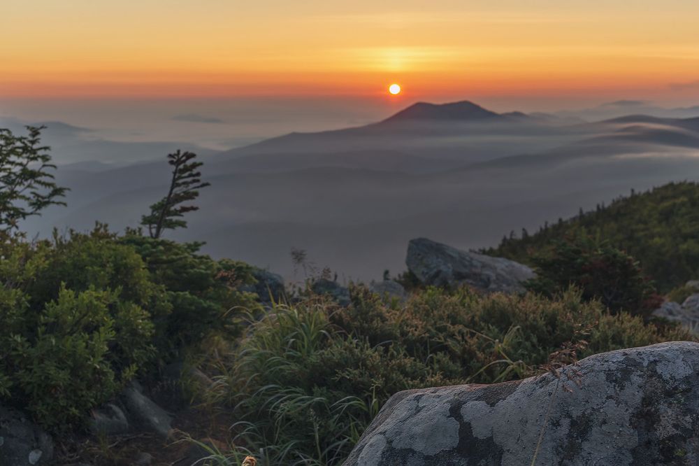 Photograph by Александр Кузнецов