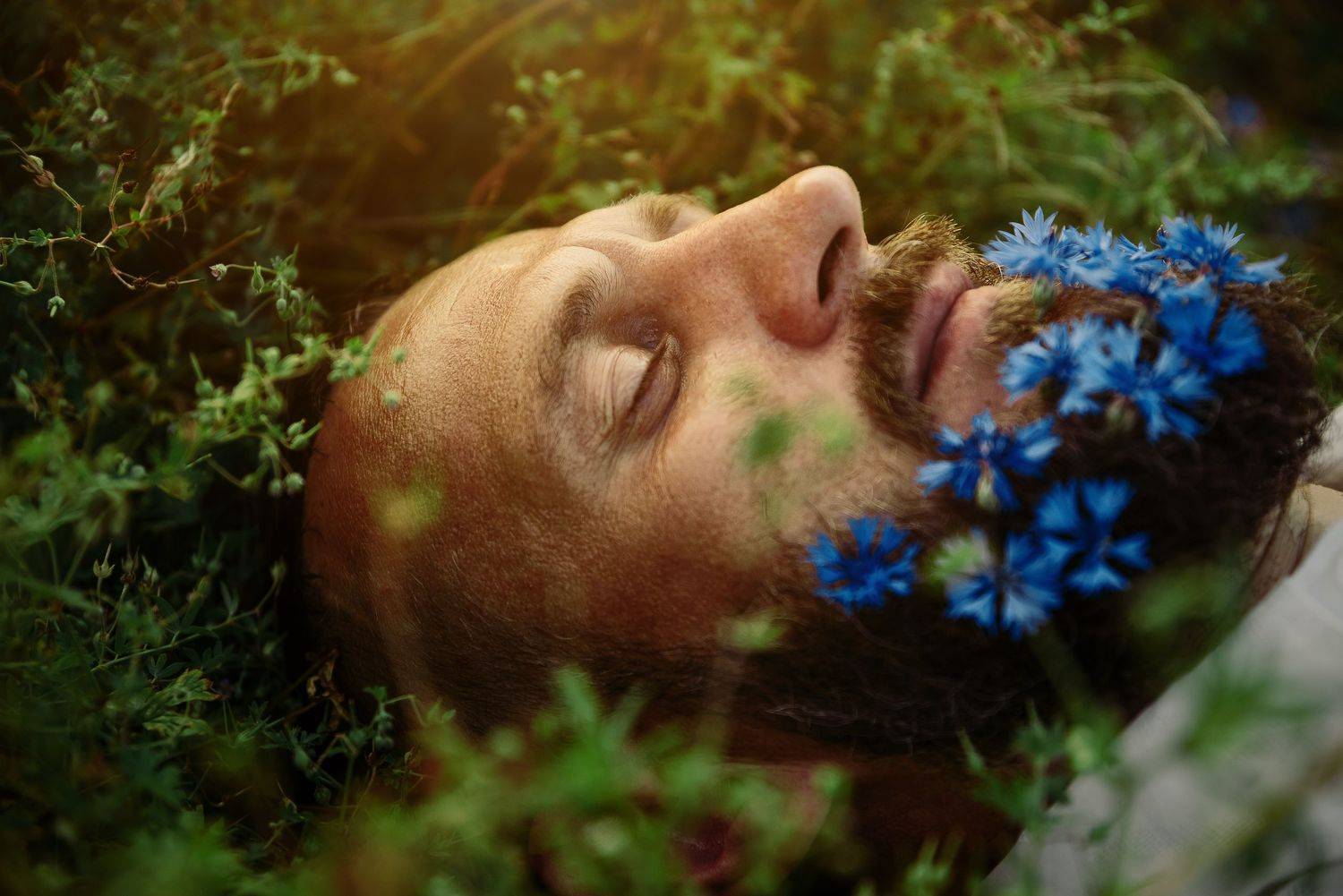 Фотография #6452148