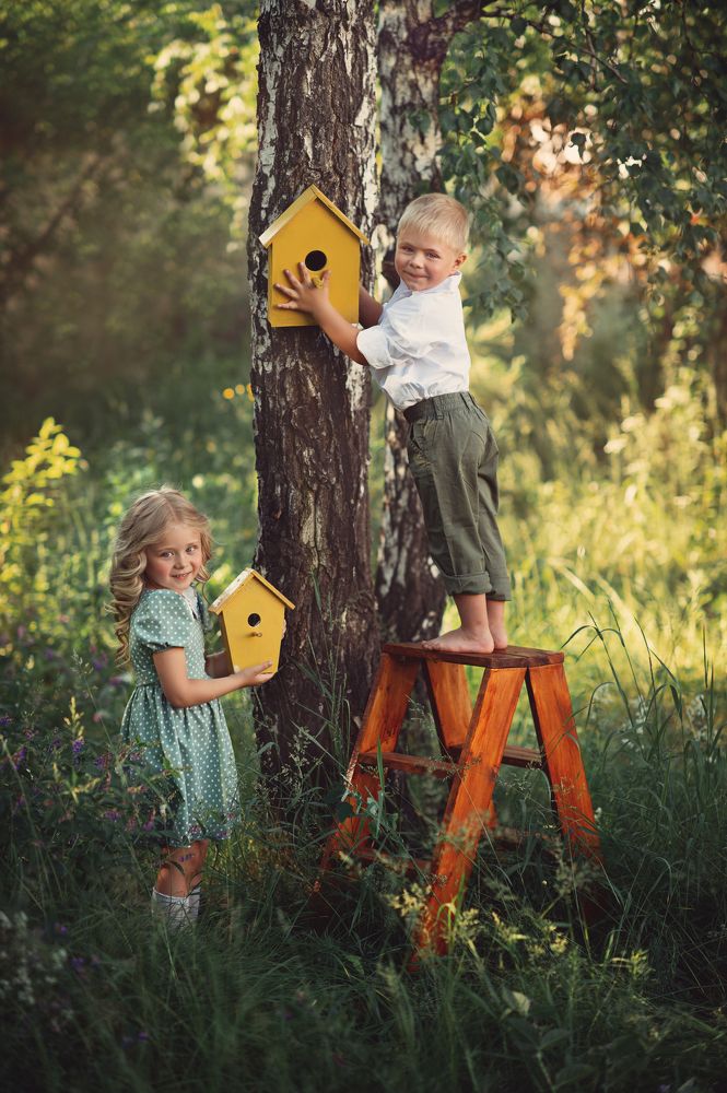Photo #6452239