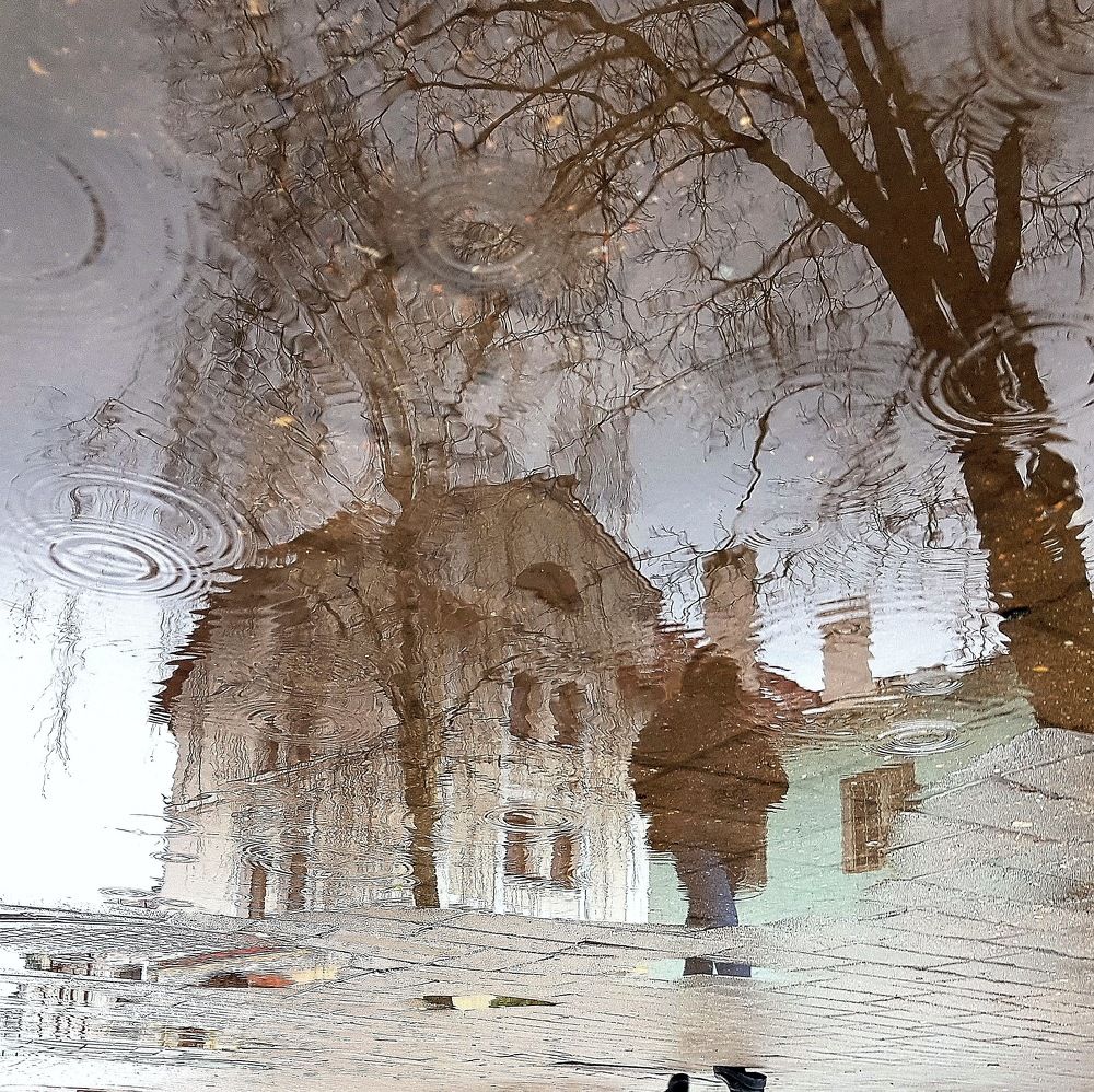 Photograph by Людмила Орловская