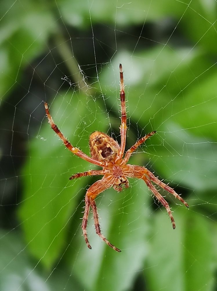 Photograph by Луиза Баширова