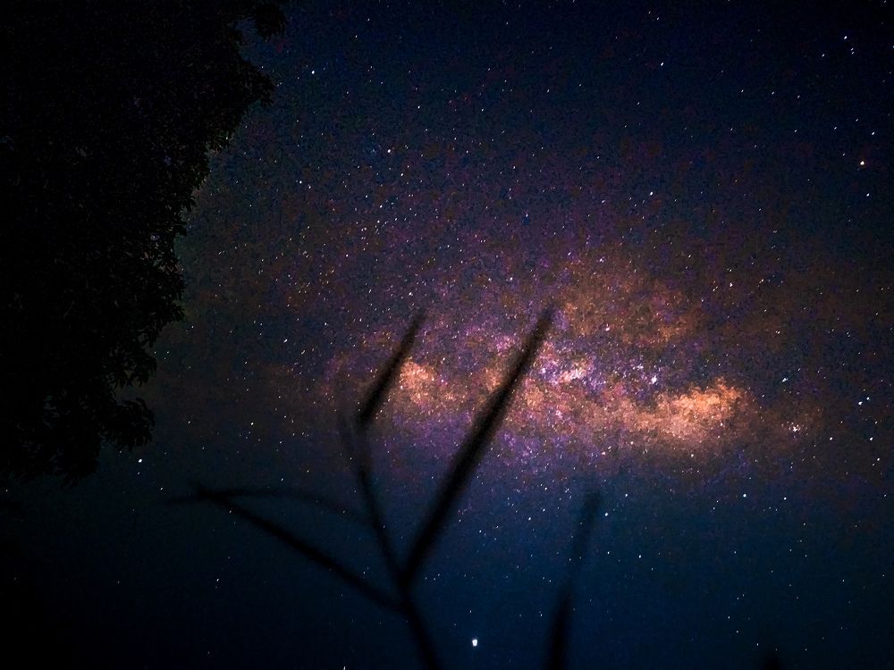 Photograph by Rohit Tonapi