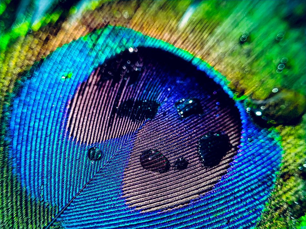 Photograph by Rohit Tonapi