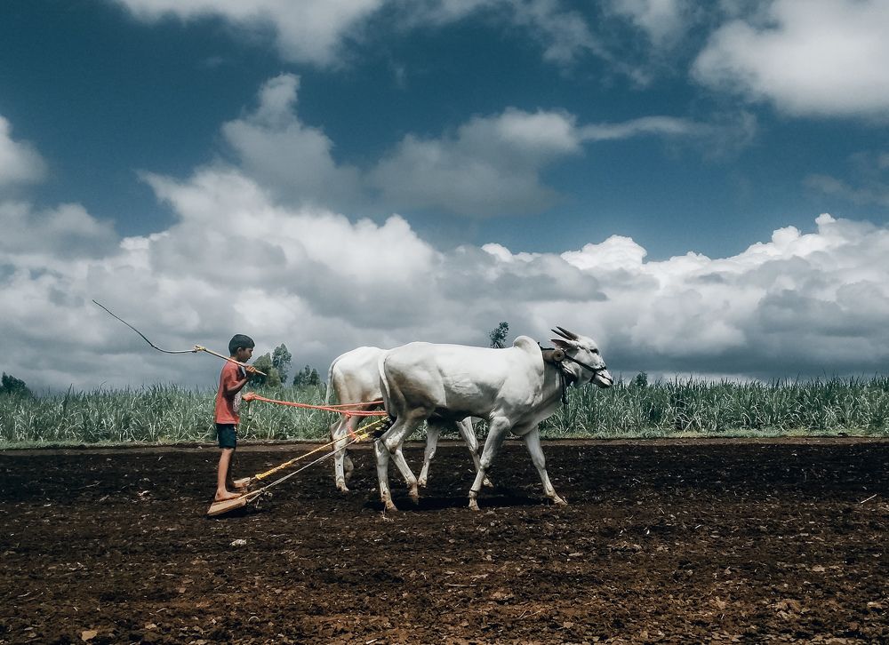 Photograph by Rohit Tonapi