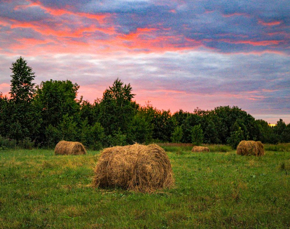Близится осень