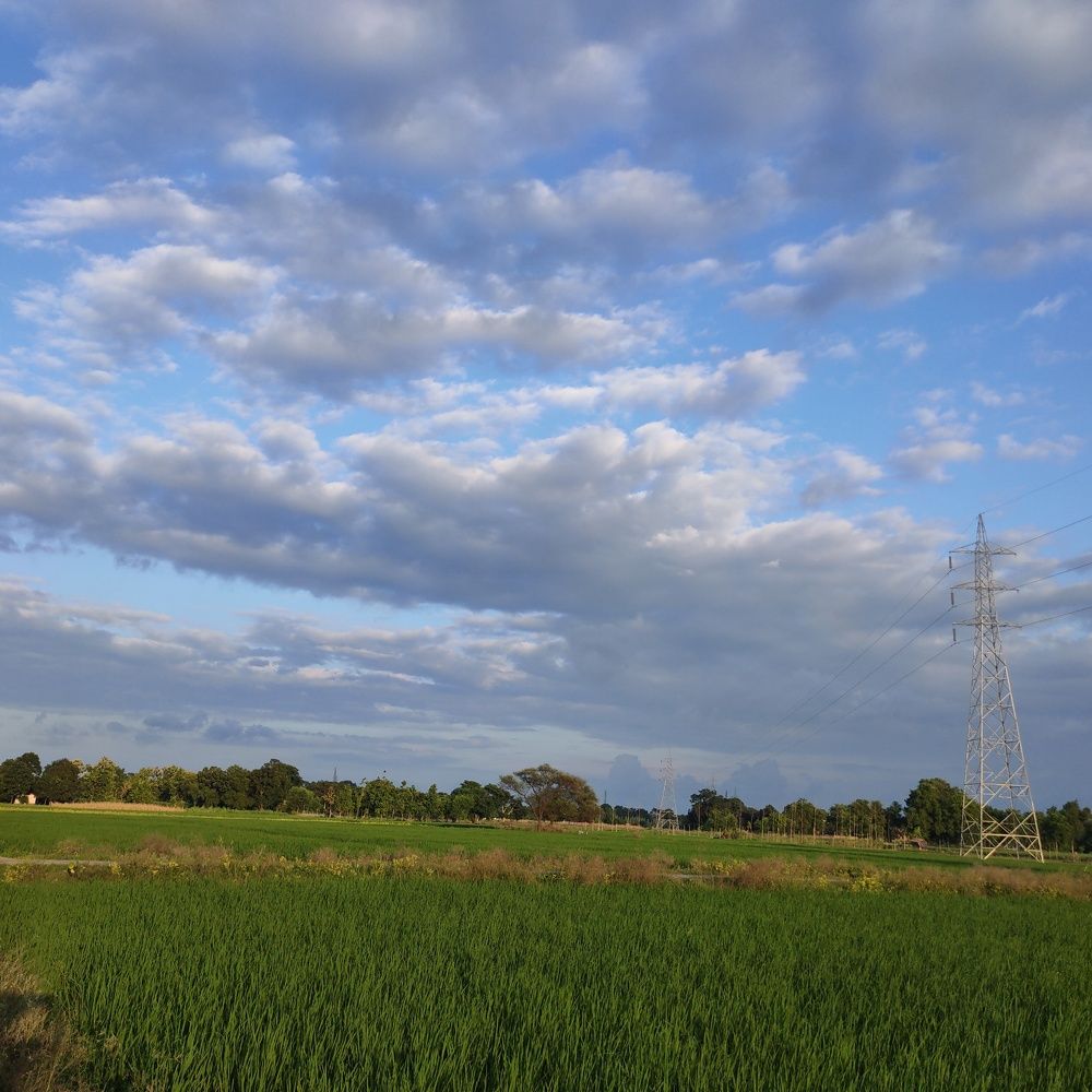 Photograph by Kumari Shikha