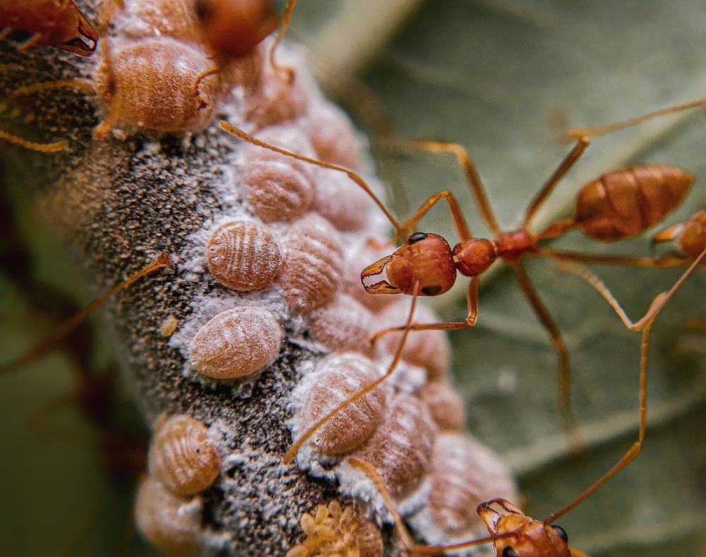 Фотография автора Subhash Devadeth