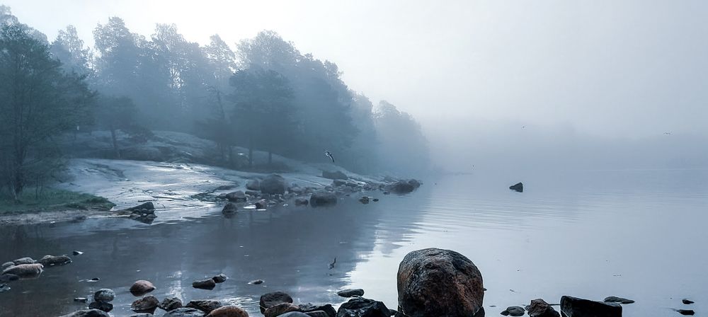 Photograph by Epp Tappel