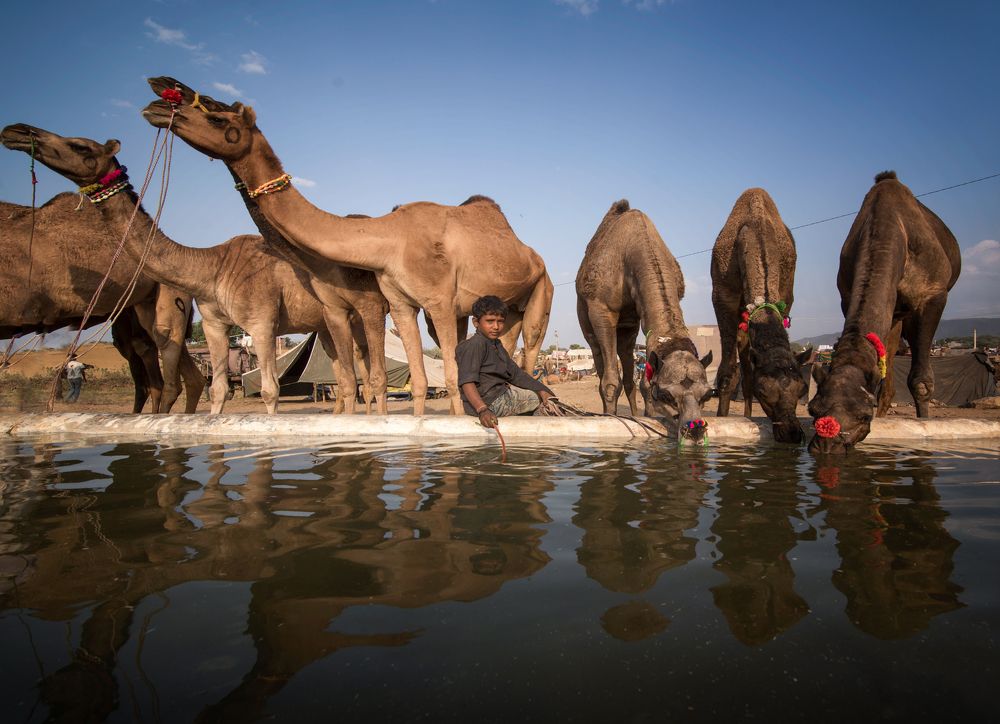 Photograph by Rana Jabeen Nawab