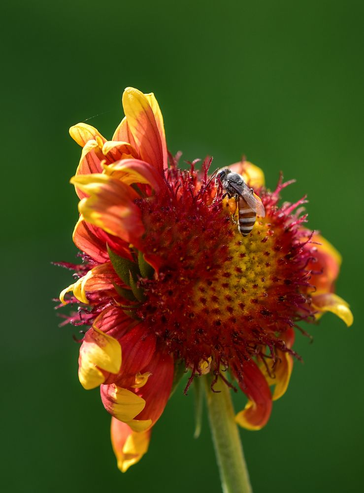 Photograph by Rana Jabeen Nawab