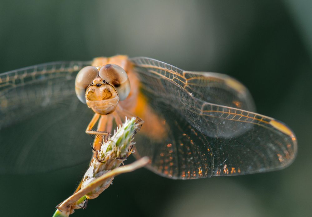 Photograph by Rana Jabeen Nawab