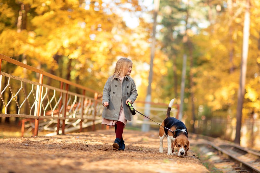 Photograph by Галина Арсёнова