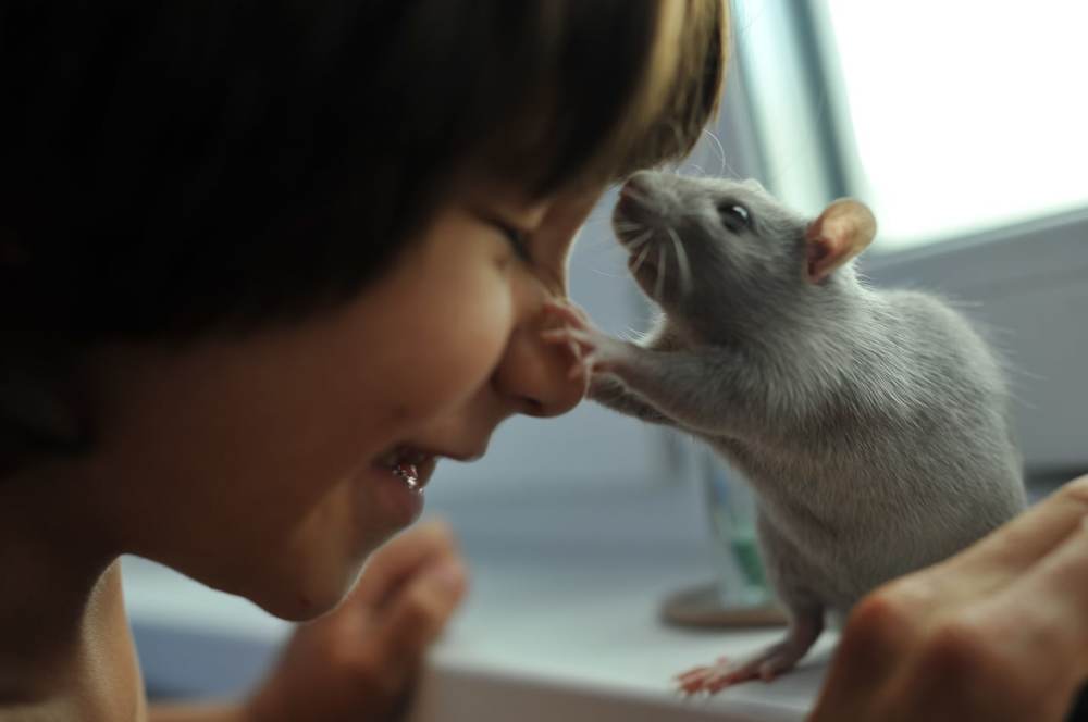 Пообщаемся?