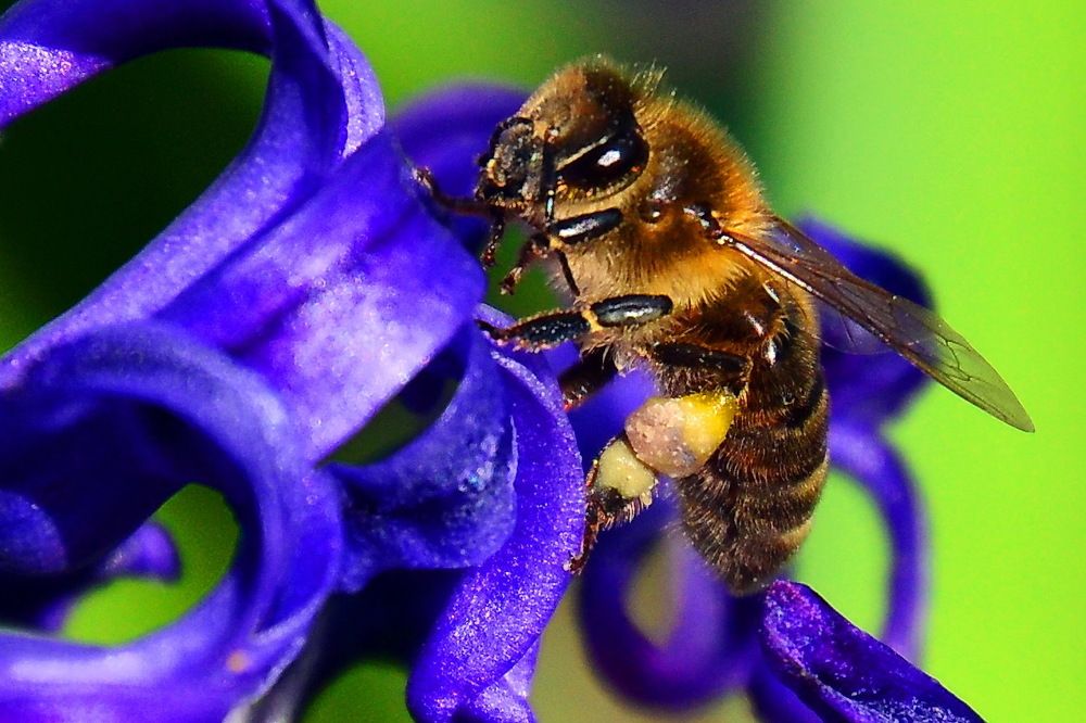 Photograph by Дмитрий Волков