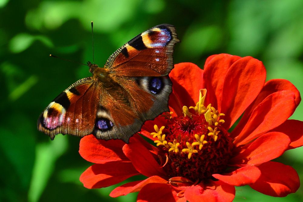 Photograph by Дмитрий Волков