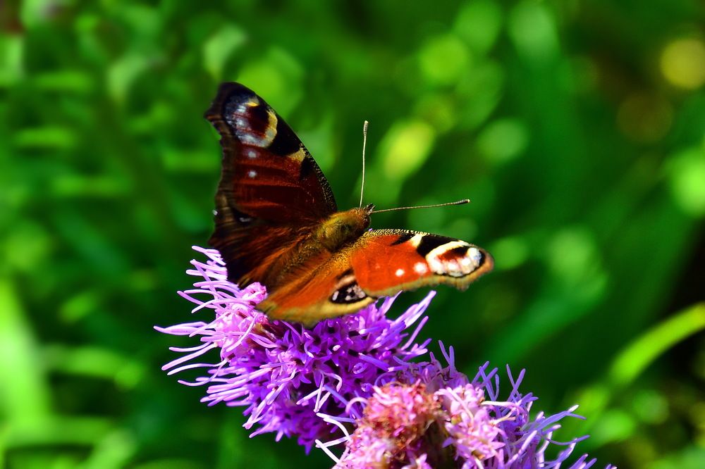 Photograph by Дмитрий Волков