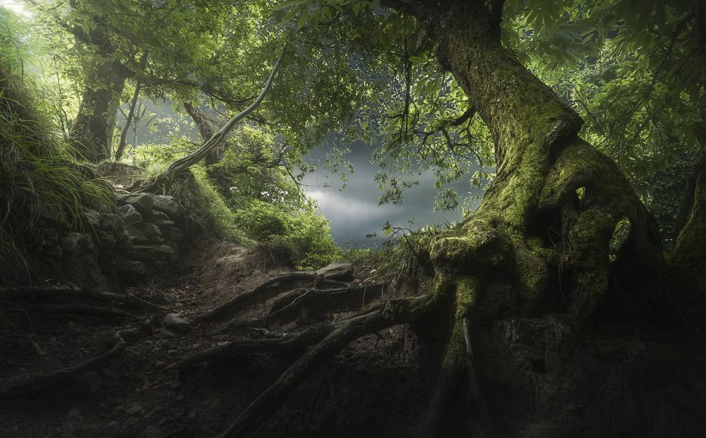 Photograph by Andrea Giannuzzi