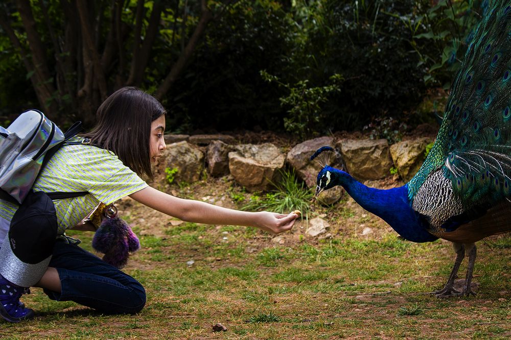 Photograph by Cemal Kaldirim