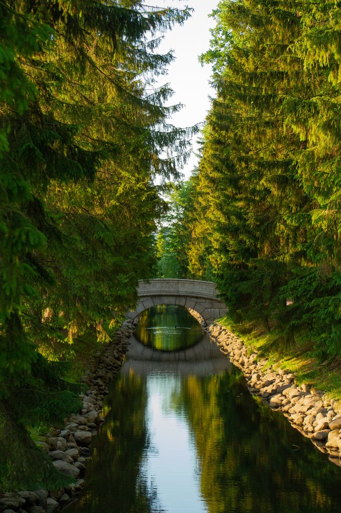 Фотография автора Тимофеев Алексей