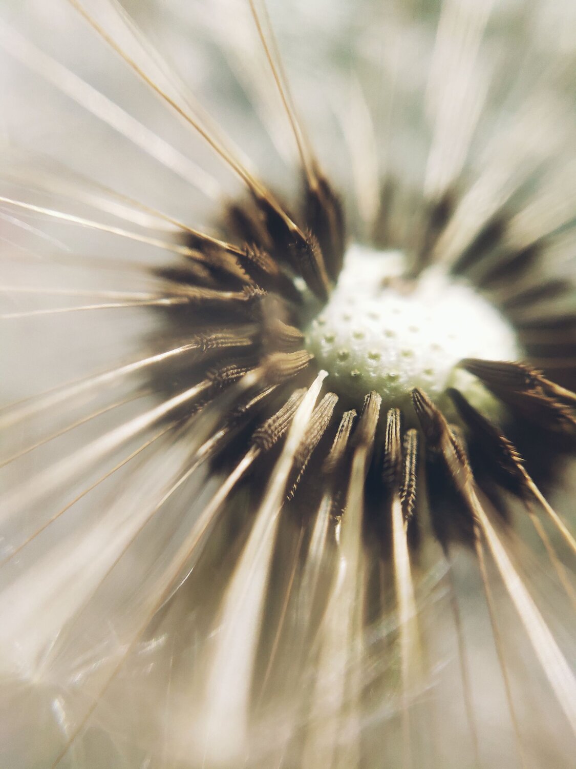 Photo #6453053