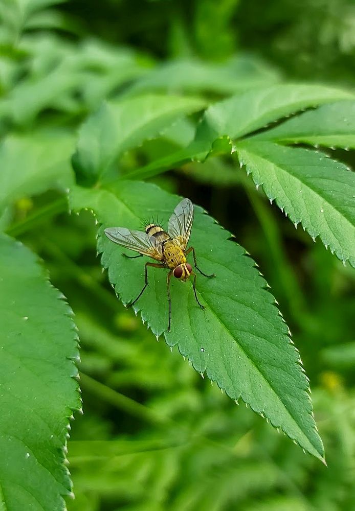 Photograph by Epp Tappel