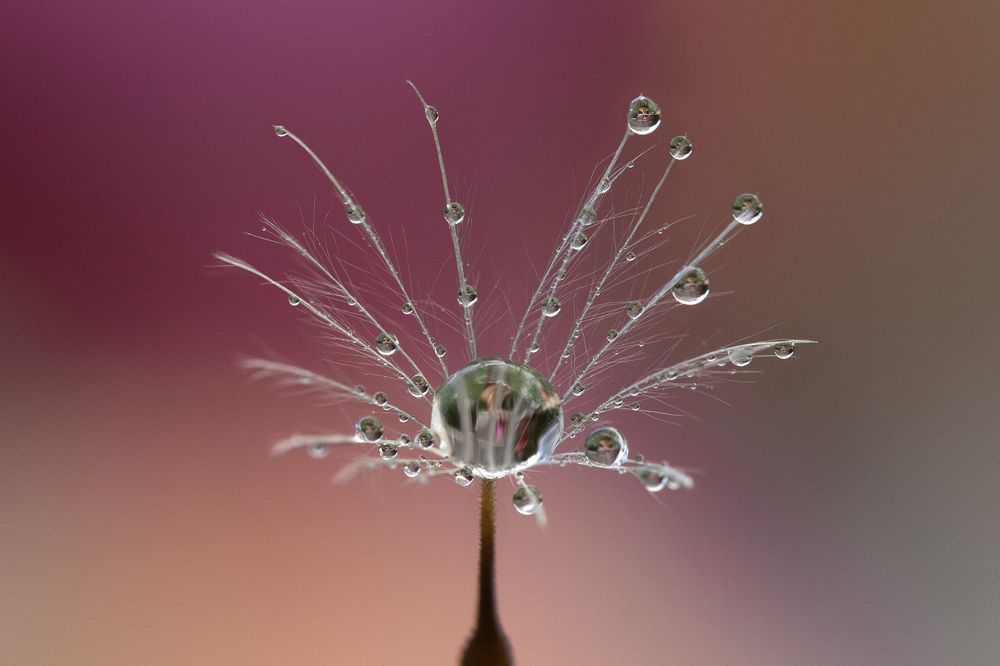 Photograph by Rahel Barenshtein