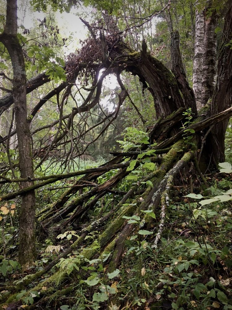 Photograph by Лев Марков