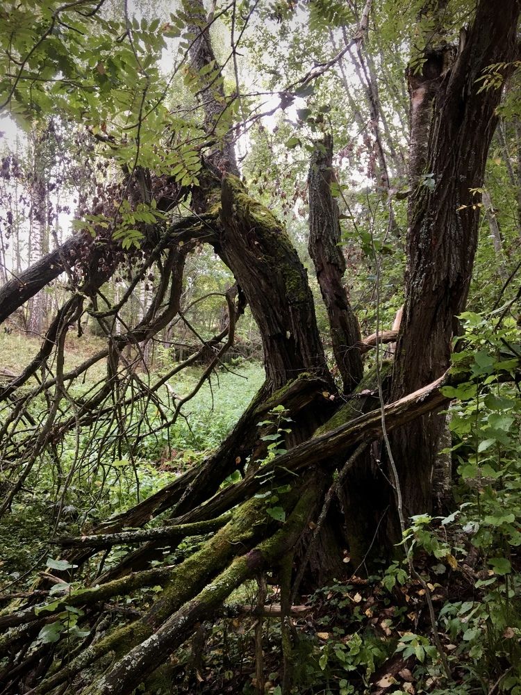 Photograph by Лев Марков