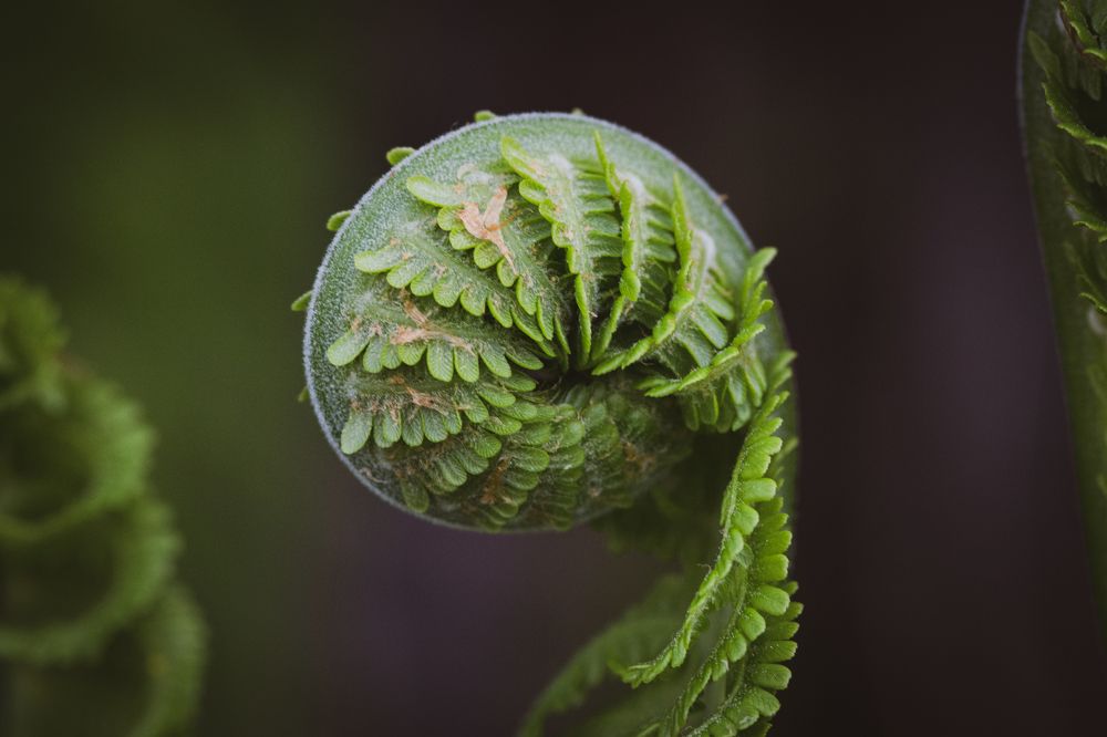 Photograph by София Беляева