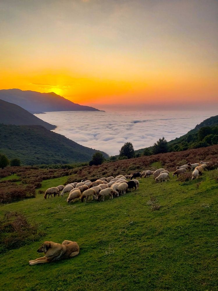 Photograph by amir shadpoor