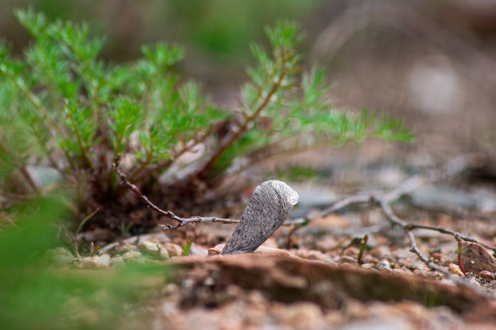 Photograph by Рослякова Елена