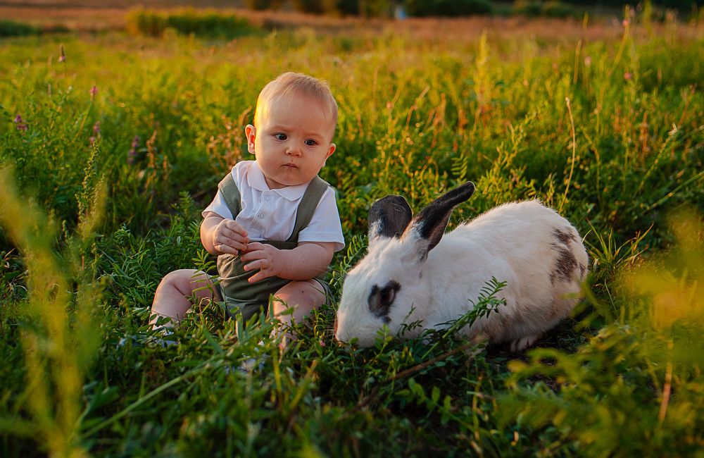 Photograph by Михаил Фенелонов