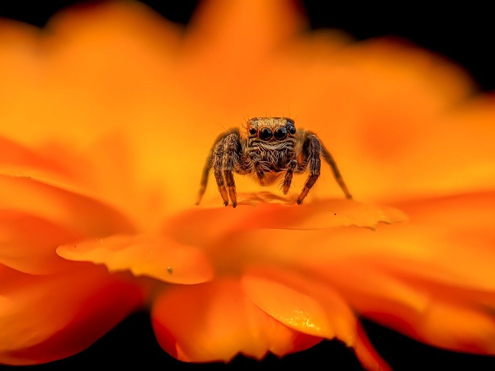 Photograph by Tanvir Ahmed Bhuiyan