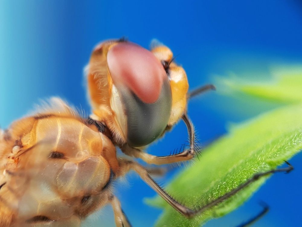 Photograph by Tanvir Ahmed Bhuiyan