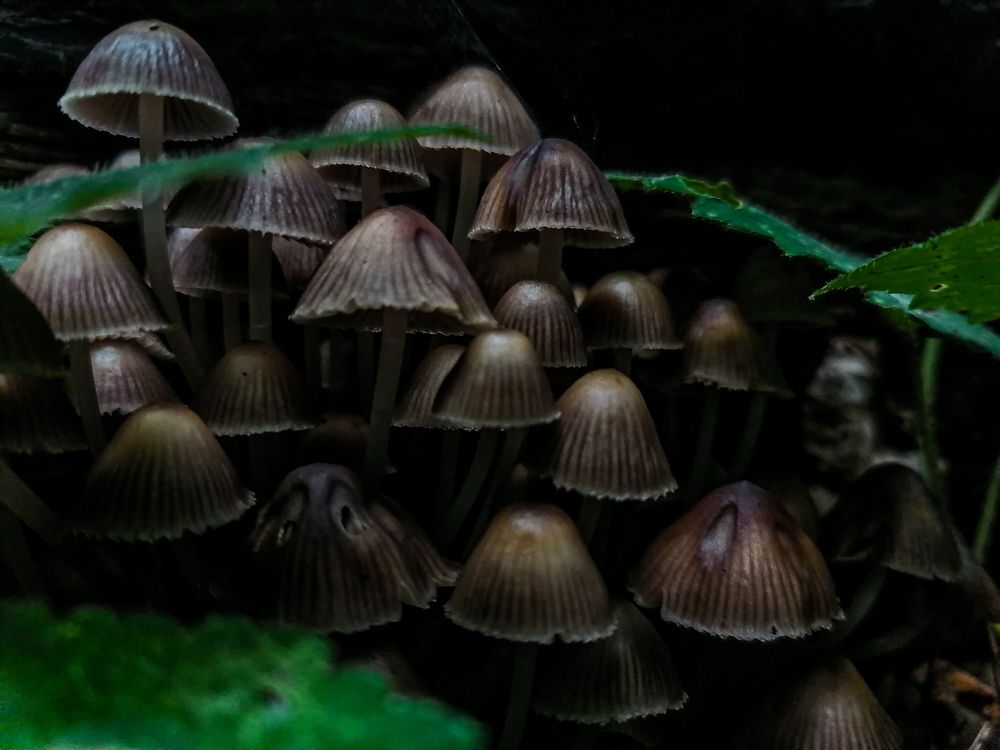 Photograph by Станислав Евсеев