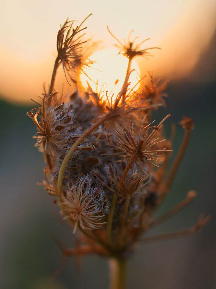 Фотография автора Malkhaz Svanidze