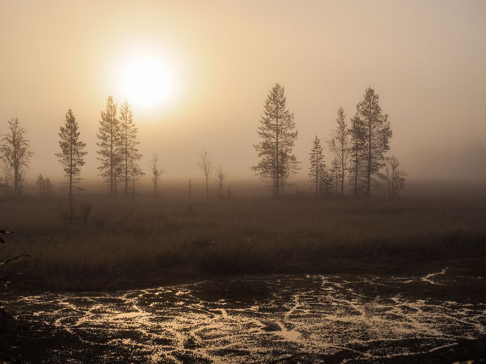 Сентябрьский туман. Приполярье.