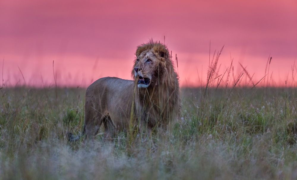 Photograph by Ruzdi Ekenheim