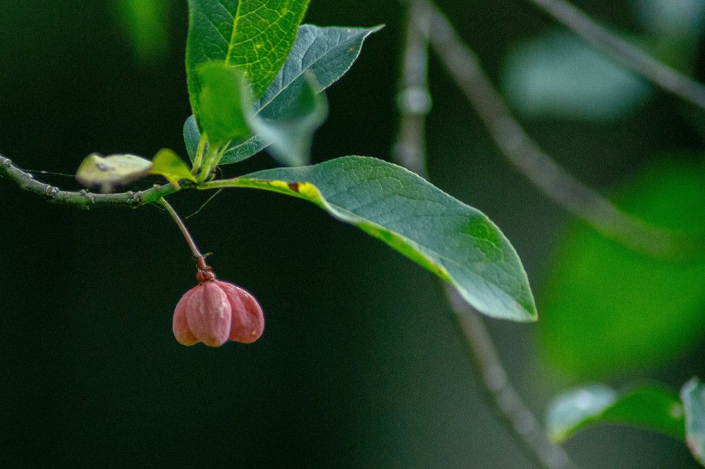 Photograph by Дима Захаров