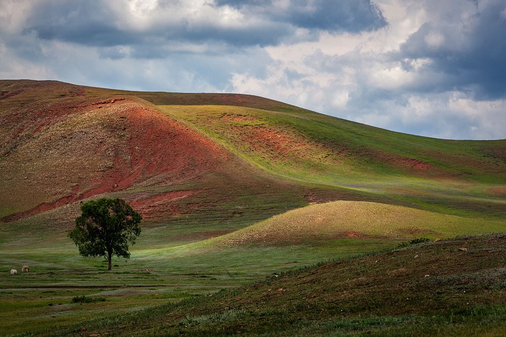 Photograph by Тамара Андреева