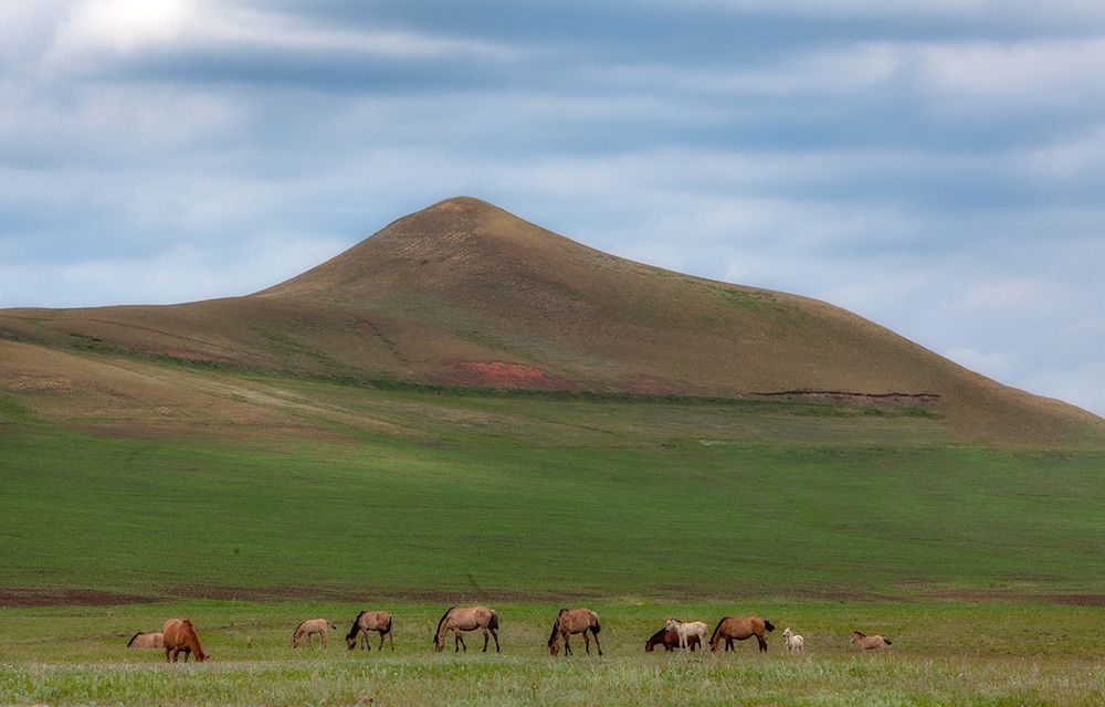 Photograph by Тамара Андреева