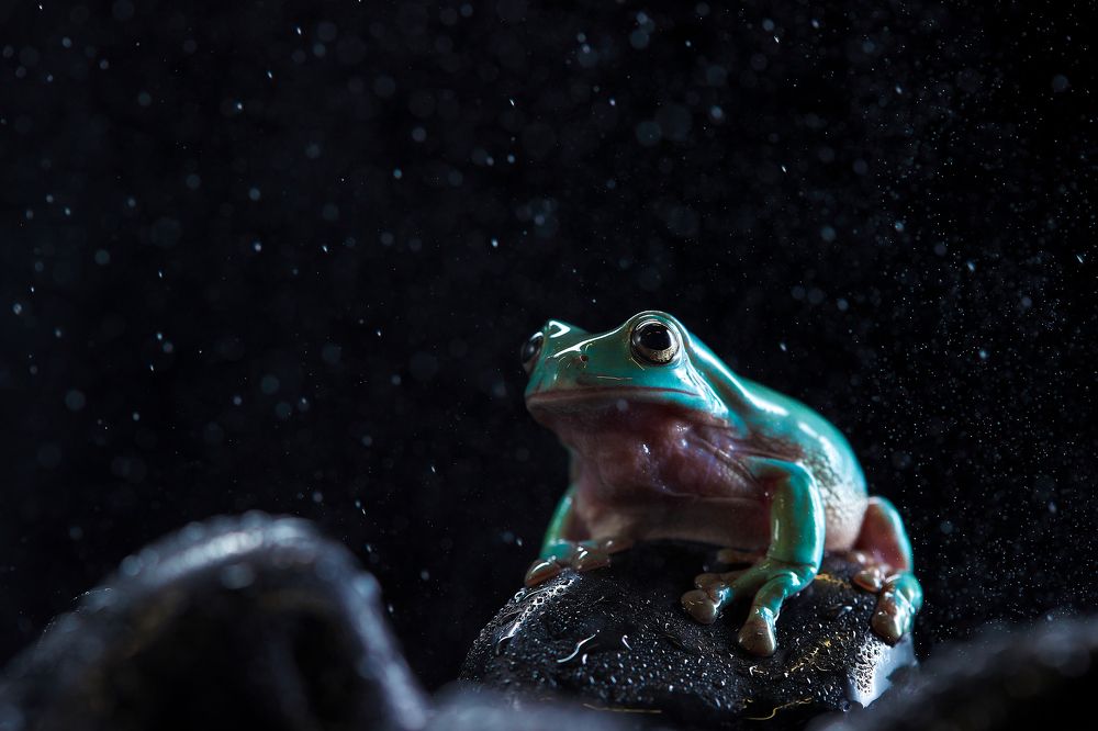 Photograph by Лана Полякова