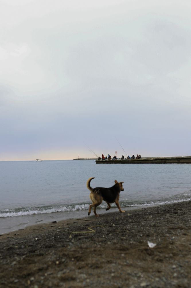 История одного пляжа