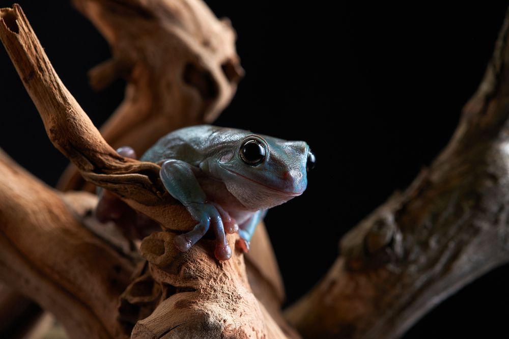 Photograph by Лана Полякова