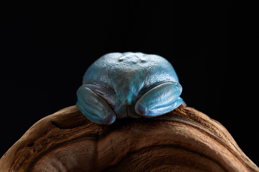 Photograph by Лана Полякова